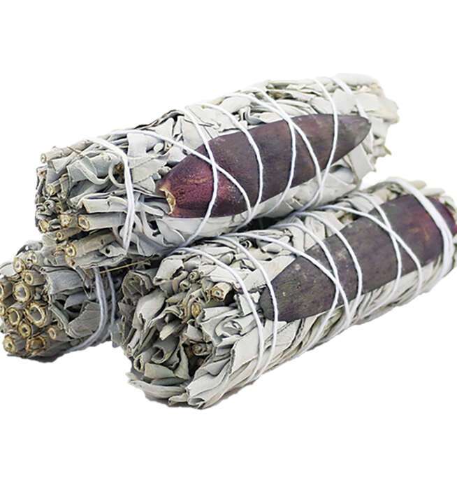 4" Dream Organic Sage (3 Pack)