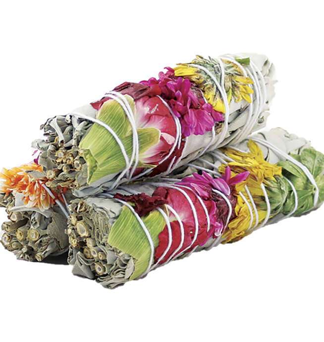 4" Joy Organic Sage (3 Pack)