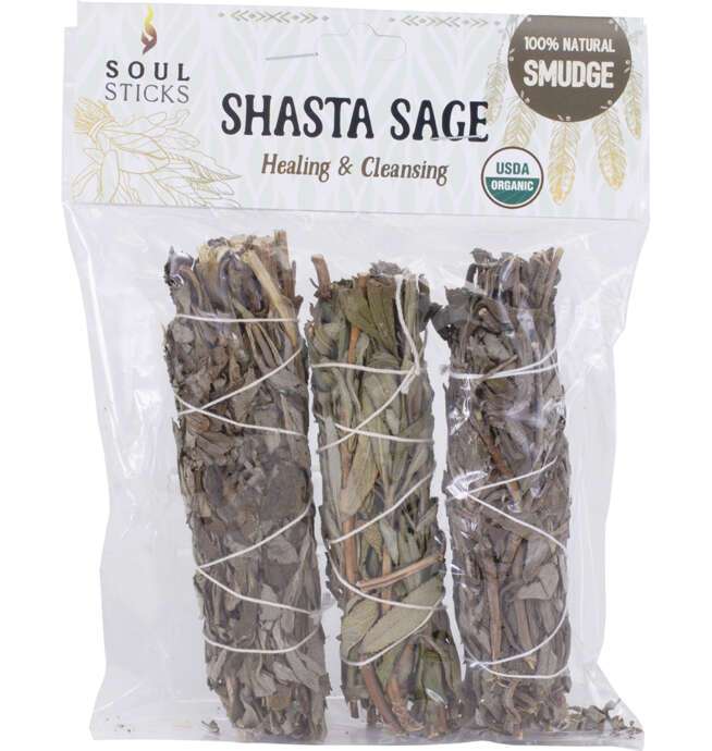 4" Shasta Sage Smudge (3 Pack)