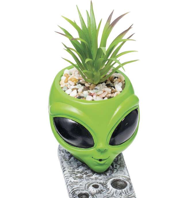 Alien Incense Burner with Plant 12.5in - Image 4