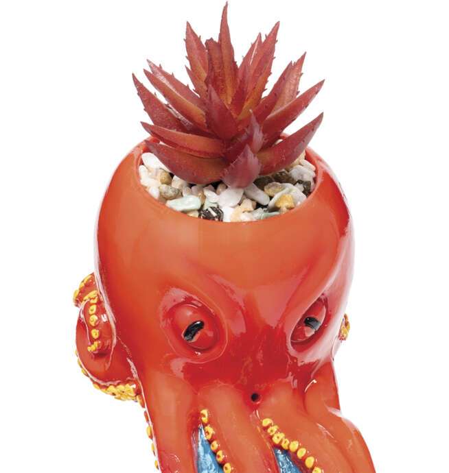 Octopus Incense Burner with Plant 12.5in - Image 3