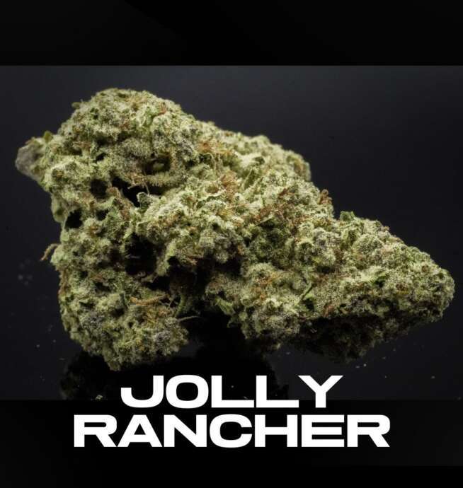 Puro THCA Flower - Jolly Rancher