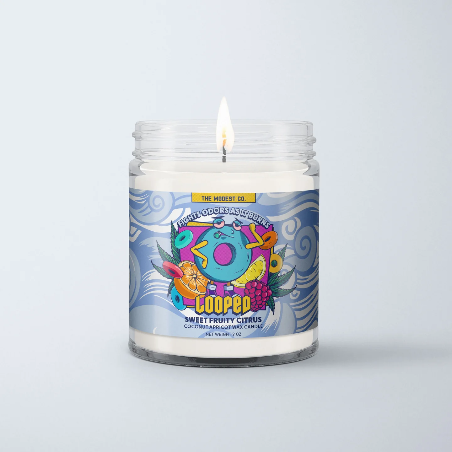 Modest & Co. Odor Killing Candle 9oz - Looped