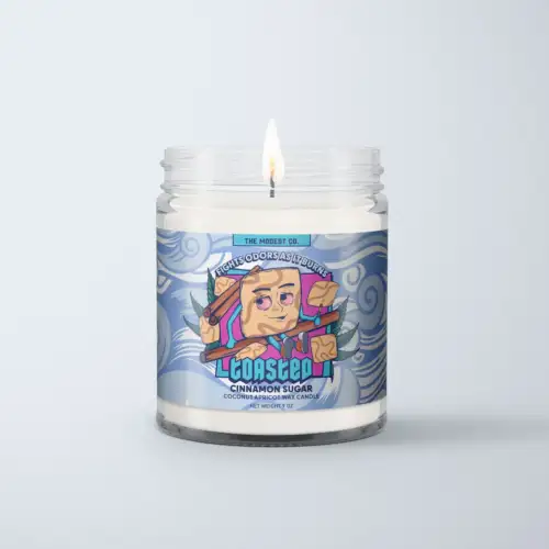 Modest & Co. Odor Killing Candle 9oz - Toasted