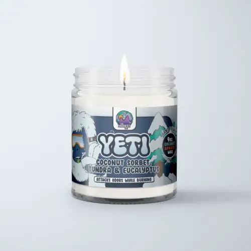 Modest & Co. Odor Killing Candle 9oz - Yeti