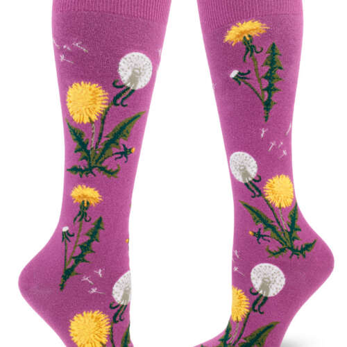 ModSocks - Dandelion Knee-High Socks – Orchid