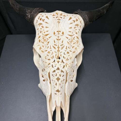 Carved Water Buffalo Skull
