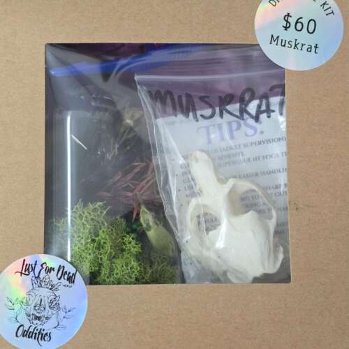 Pheasant and Muskrat DIY Kits