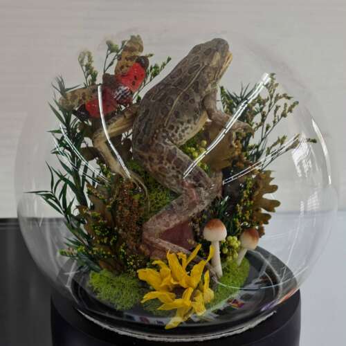 Leopard Frog Globe