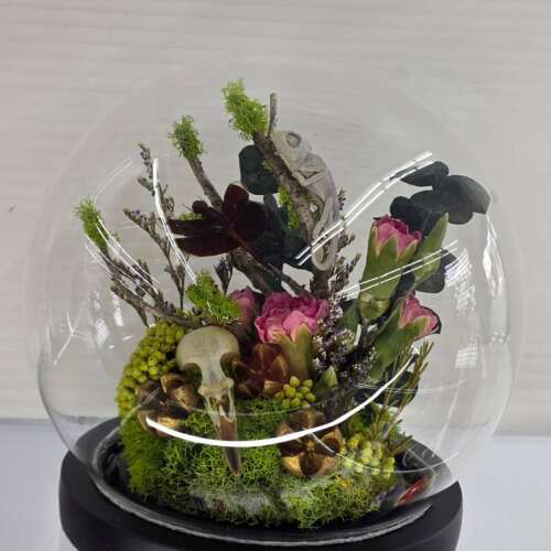 Chameleon, dragonfly, Starling skull in a globe