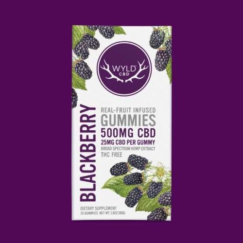 WYLD - Blackberry CBD Gummies | CBD-Only - 20 ct