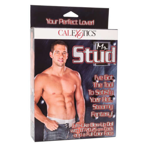 CalExotics Mr. Stud®