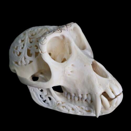Carved Monkey Skull